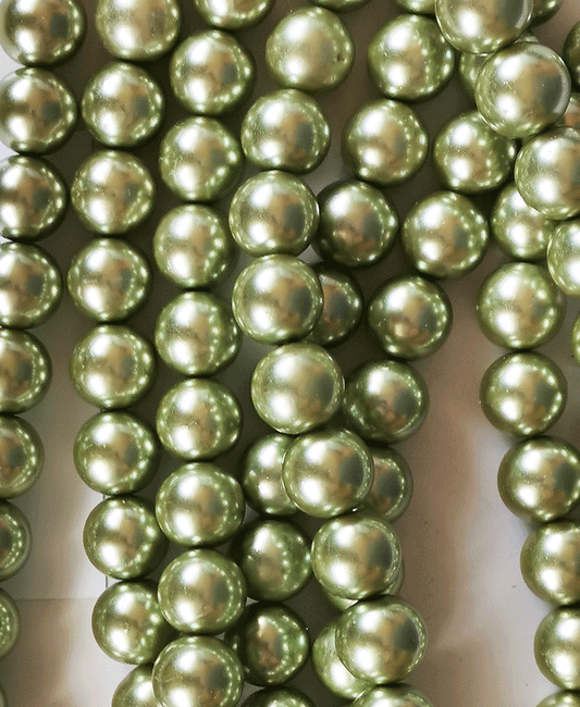 7148 - Shell Perler 16mm